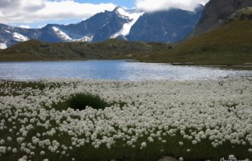 Trek pour le Grand Paradis en Italie