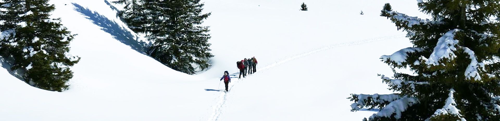 Personnes randonnant en raquettes dans la neige