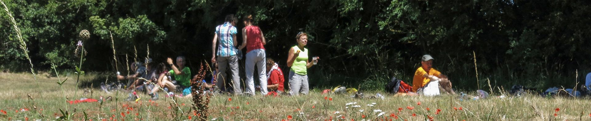 Randonneurs en pause dans un champ de coquelicots