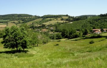 Boucle des trois Châteaux d’Ouroux : la campagne