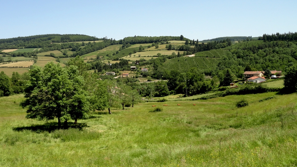 650, 650, Boucle des trois Châteaux d’Ouroux : la campagne, ouroux.jpg, 612313, https://www.gtahandicalpes.fr/wp-content/uploads/2018/10/ouroux.jpg, https://www.gtahandicalpes.fr/balade-dans-le-haut-beaujolais/ouroux/, Boucle des trois Châteaux d’Ouroux : la campagne, 1, , , ouroux, inherit, 649, 2018-10-23 10:45:41, 2018-10-23 10:45:54, 0, image/jpeg, image, jpeg, https://www.gtahandicalpes.fr/wp-includes/images/media/default.png, 1024, 576, Array