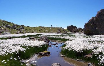 Lac de la Portette