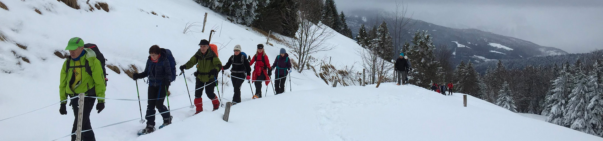 C'est à Lescheraines que le groupe de 16 personnes se regroupe pour ensuite se garer au-dessus d'Arith, au parking de Montagny. Quelques flocons accompagnent nos pas mais au sol, la couche de neige est fine.